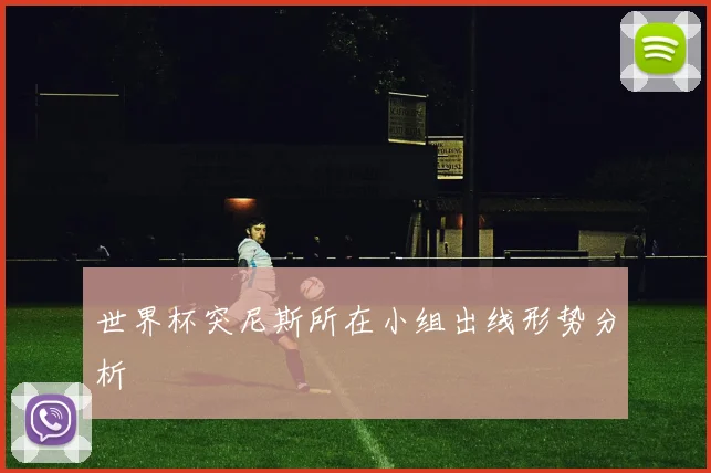 世界杯突尼斯所在小组出线形势分析