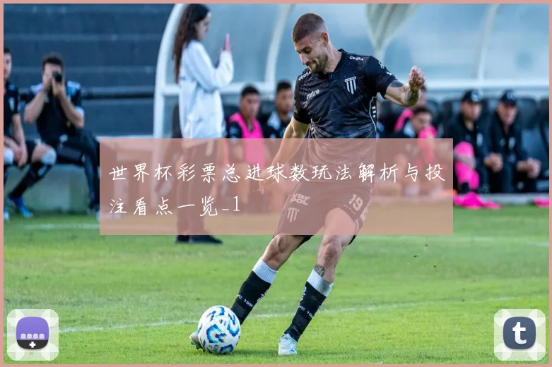 世界杯彩票总进球数玩法解析与投注看点一览_1