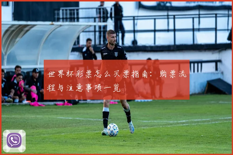 世界杯彩票怎么买票指南：购票流程与注意事项一览